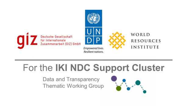 Logo NDC Cluster-Data & Transparency