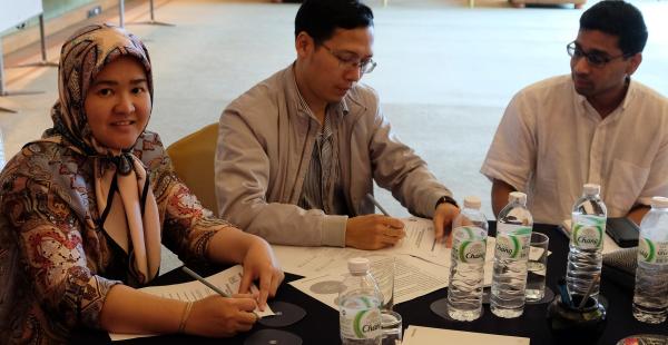 Group work during regional workshop