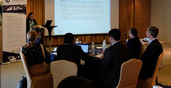 Participants during pleanry session Bangkok 2018