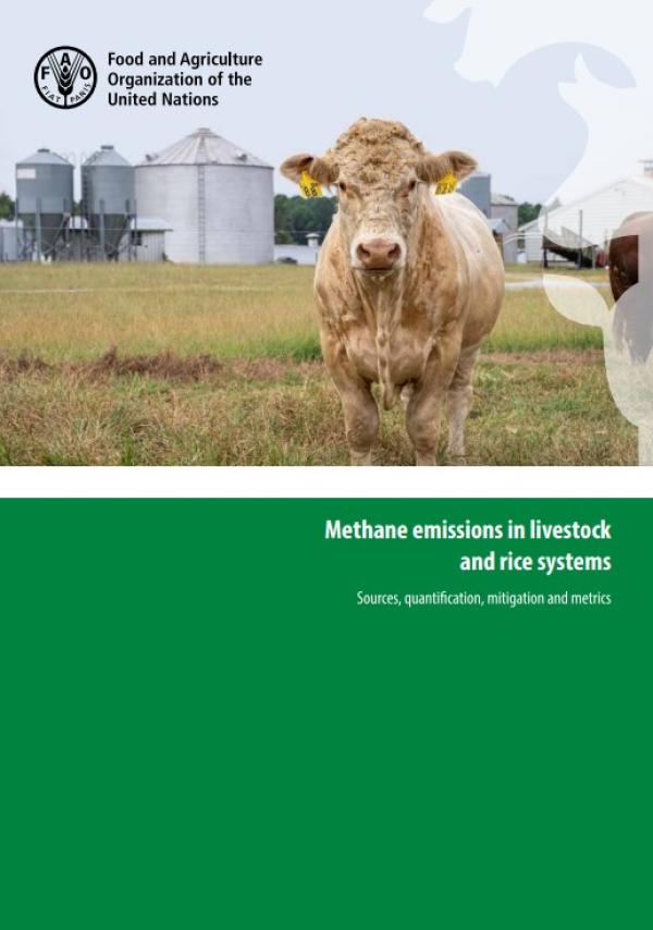 Methane emissions in livestock and rice systems